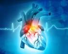 Cardiology